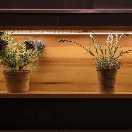 Casa Do Ti Gil 펜션 알데이아 두 메코