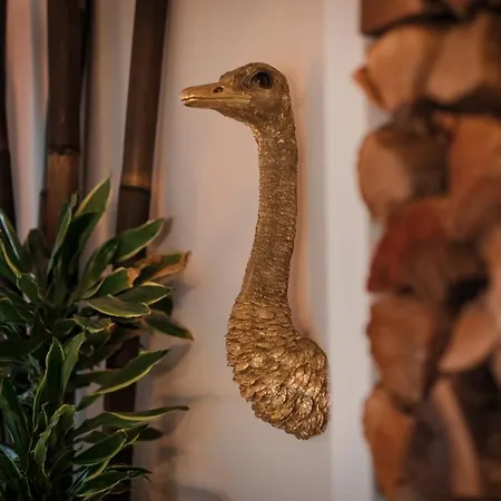 Hébergement de vacances Casa Do Ti Gil *