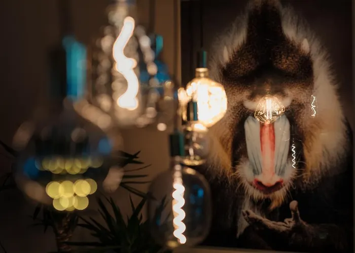 Prázdninový dům Casa Do Ti Gil *